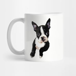 Boston Terrier Cutie Mug